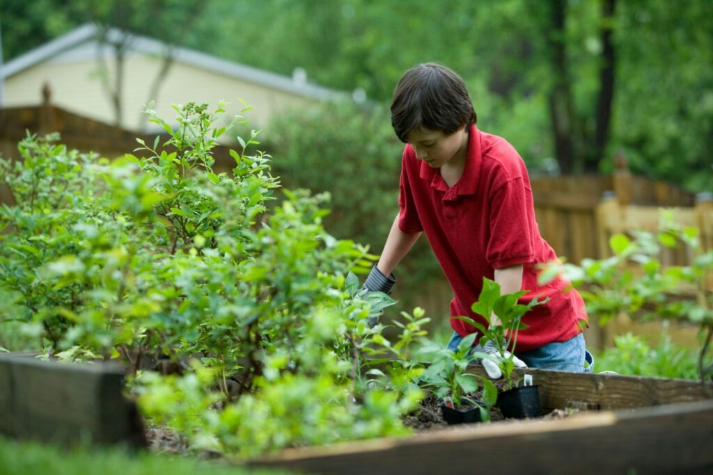 Boy gardening in the Spring time