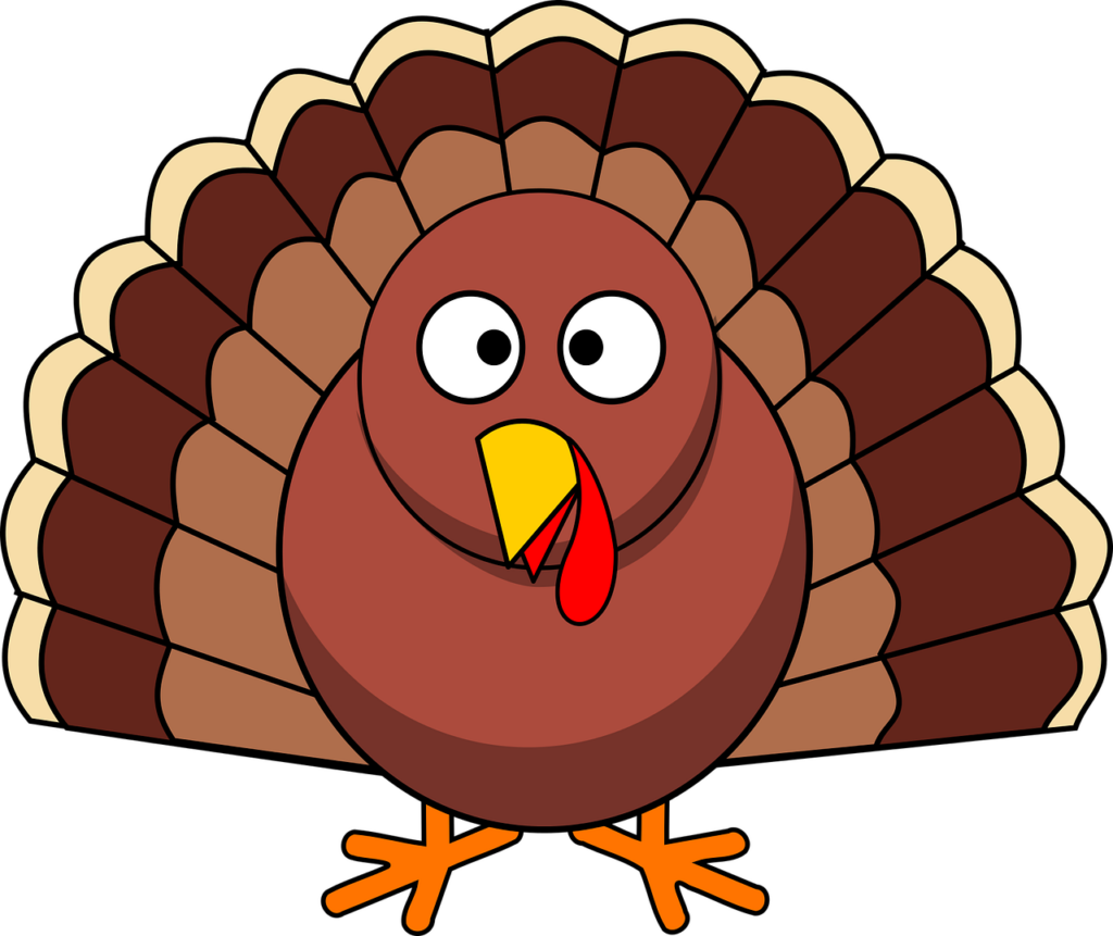 cartoon turkey